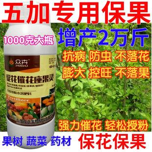 五加保花保果药催花授粉坐果灵果树防落素瓜果蔬菜增产专用叶面肥