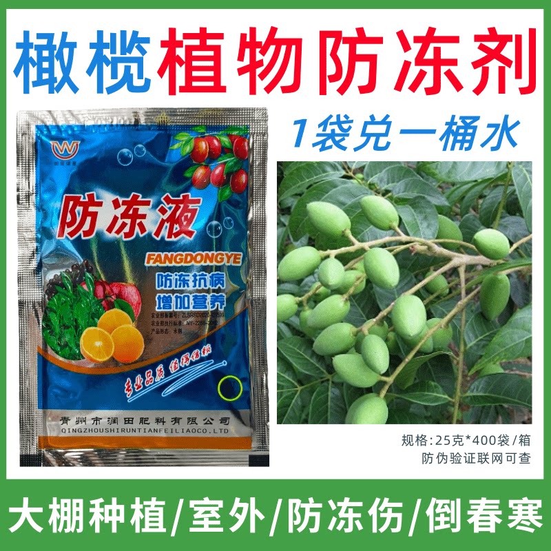 橄榄专用防冻剂植物防冻液防冻抗寒增产叶面肥蔬菜果树预防倒春寒