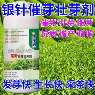 银针茶叶面肥茶叶催芽剂催芽长嫩绿抗寒抗冻催芽素生长素叶面肥料