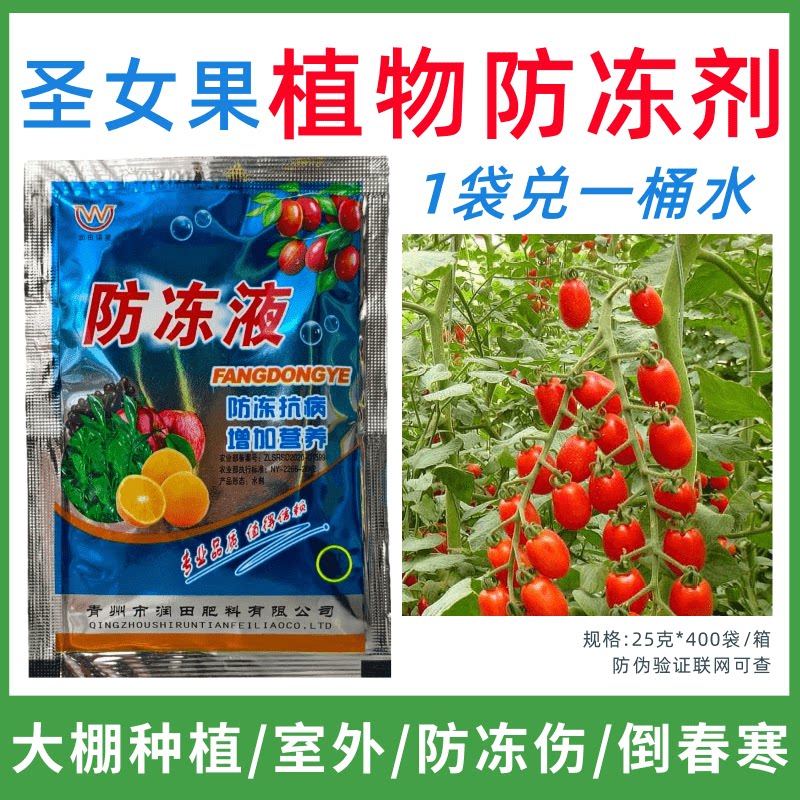 圣女果专用防冻剂植物防冻剂防冻害增产叶面肥蔬菜果树预防倒春寒