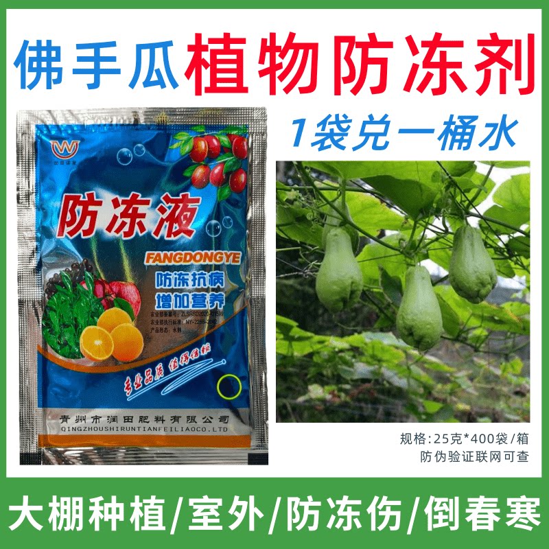 佛手瓜专用防冻剂植物防冻液防冻害增产叶面肥蔬菜果树预防倒春寒