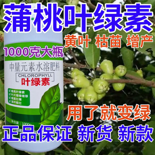 蒲桃叶绿素叶面肥植物肥料增绿增厚花卉果树蔬菜黄叶死苗水溶肥料