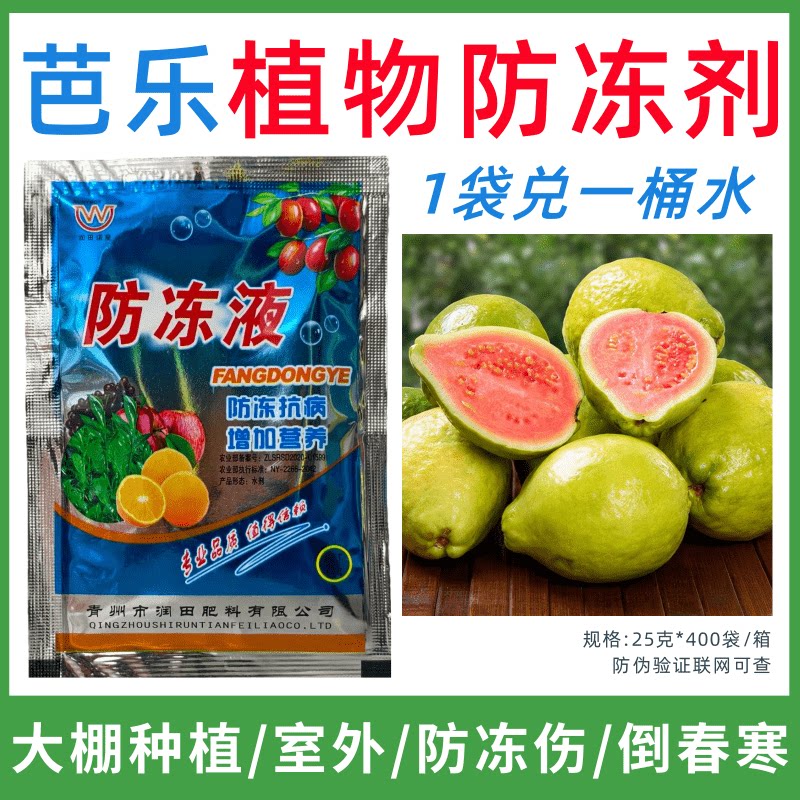 芭乐专用防冻剂植物防冻液防冻抗寒增产叶面肥蔬菜果树预防倒春寒