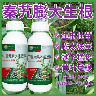 秦艽膨根壮茎灌根肥营养肥根茎粗壮生根壮苗中药材根茎块茎膨大素