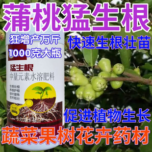 蒲桃猛生根生根壮苗剂果树蔬菜叶面肥狂生根生根液水溶肥料生根粉
