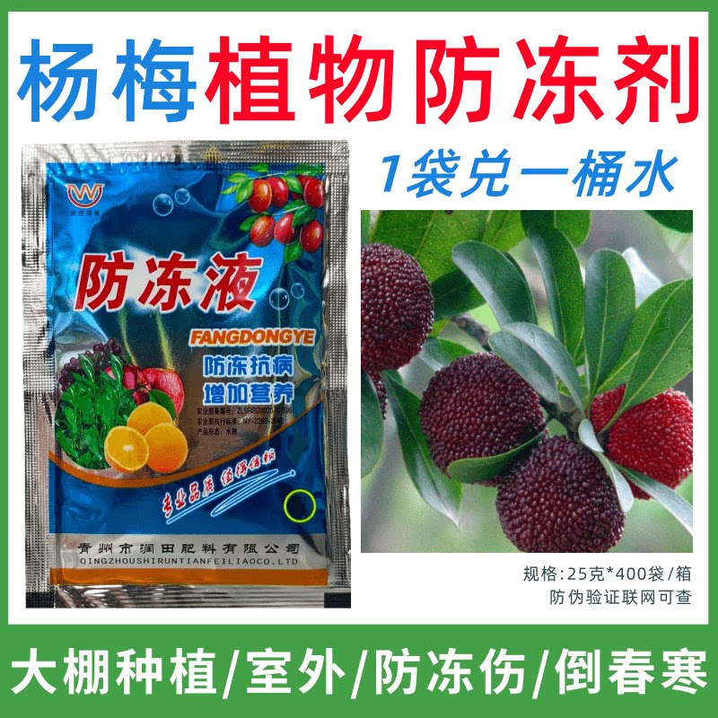 杨梅专用防冻剂植物防冻剂防冻抗寒增产叶面肥蔬菜果树预防倒春寒