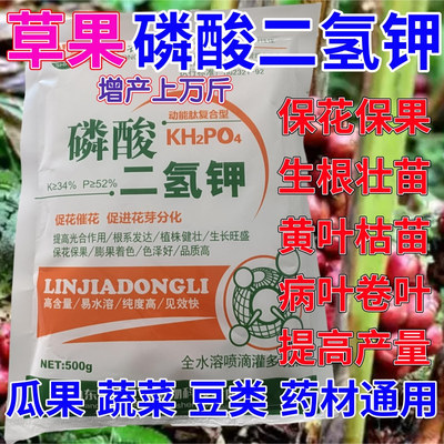 草果专用磷酸二氢钾叶面肥催花保果药蔬菜果树花卉通用生根壮苗剂
