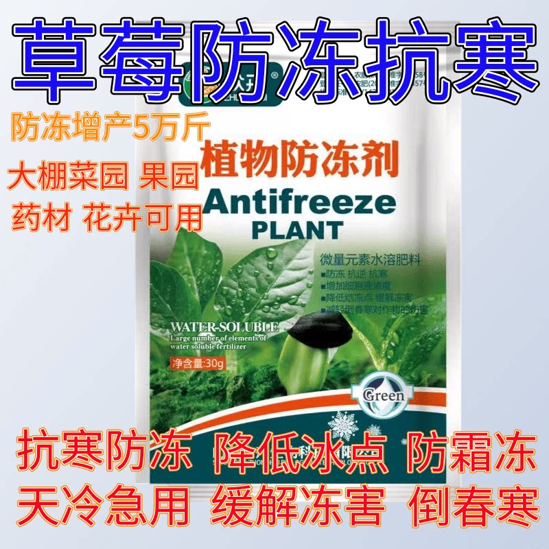 草莓植物防冻剂抗寒防冻叶面肥增叶面肥