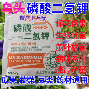 乌头专用磷酸二氢钾叶面肥催花保果药蔬菜果树花卉通用生根壮苗剂