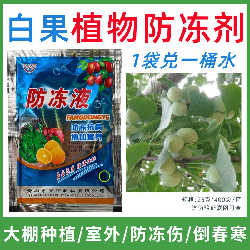 白果专用防冻剂植物防冻液防冻抗寒增产叶面肥蔬菜果树预防倒春寒