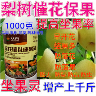梨树保花保果药催花授粉坐果灵果树防落素瓜果蔬菜增产专用叶面肥