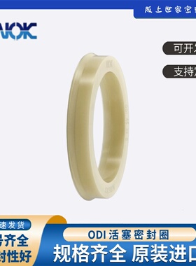 日本NOK原装进口油封ODI75  90 100 110 125 130 140 150 160 170