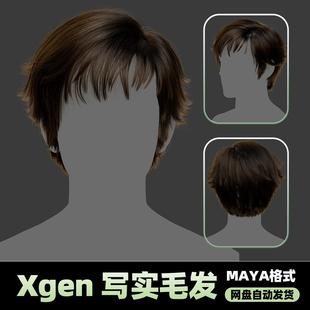 Xgen男性毛发国风现代人物角色发型短发帅气maya模型丸子头groom