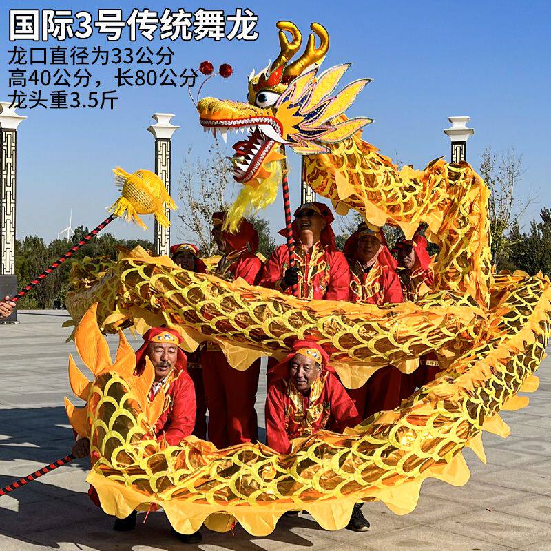 舞龙道具龙灯龙狮舞狮灯光龙九节烫金学生龙国标龙比赛龙绸缎布龙