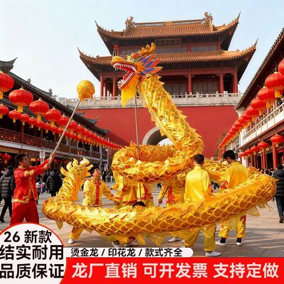 舞龙舞狮道具七彩龙灯烫金龙印花舞龙灯光龙社火道具二月二龙抬头