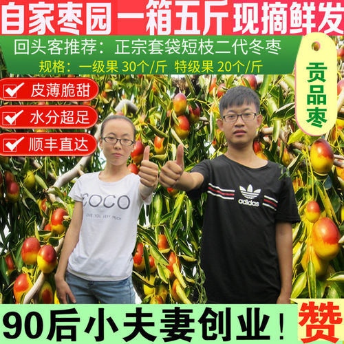 现摘短枝二代沾化冬枣5斤超甜鲜