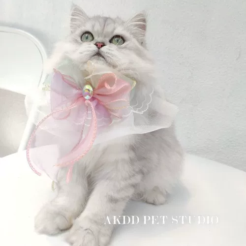 Слюнявчик для принцессы, кружевной шарф, нагрудник, аксессуар