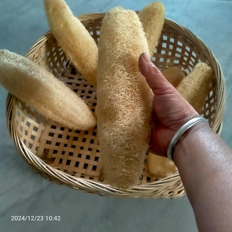 洗锅碗盘子搓澡打扫环保丝烧瓜布