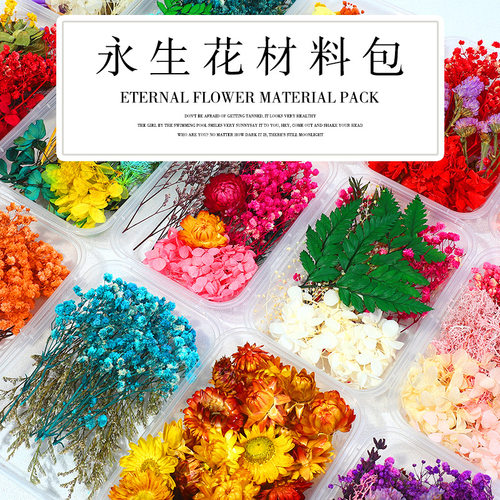 手工diy团扇干花扇子配件材料包