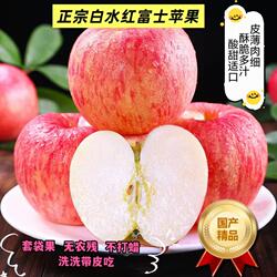 现货 珍妹 陕西白水苹果新鲜红富士苹果10斤套箱脆甜多汁