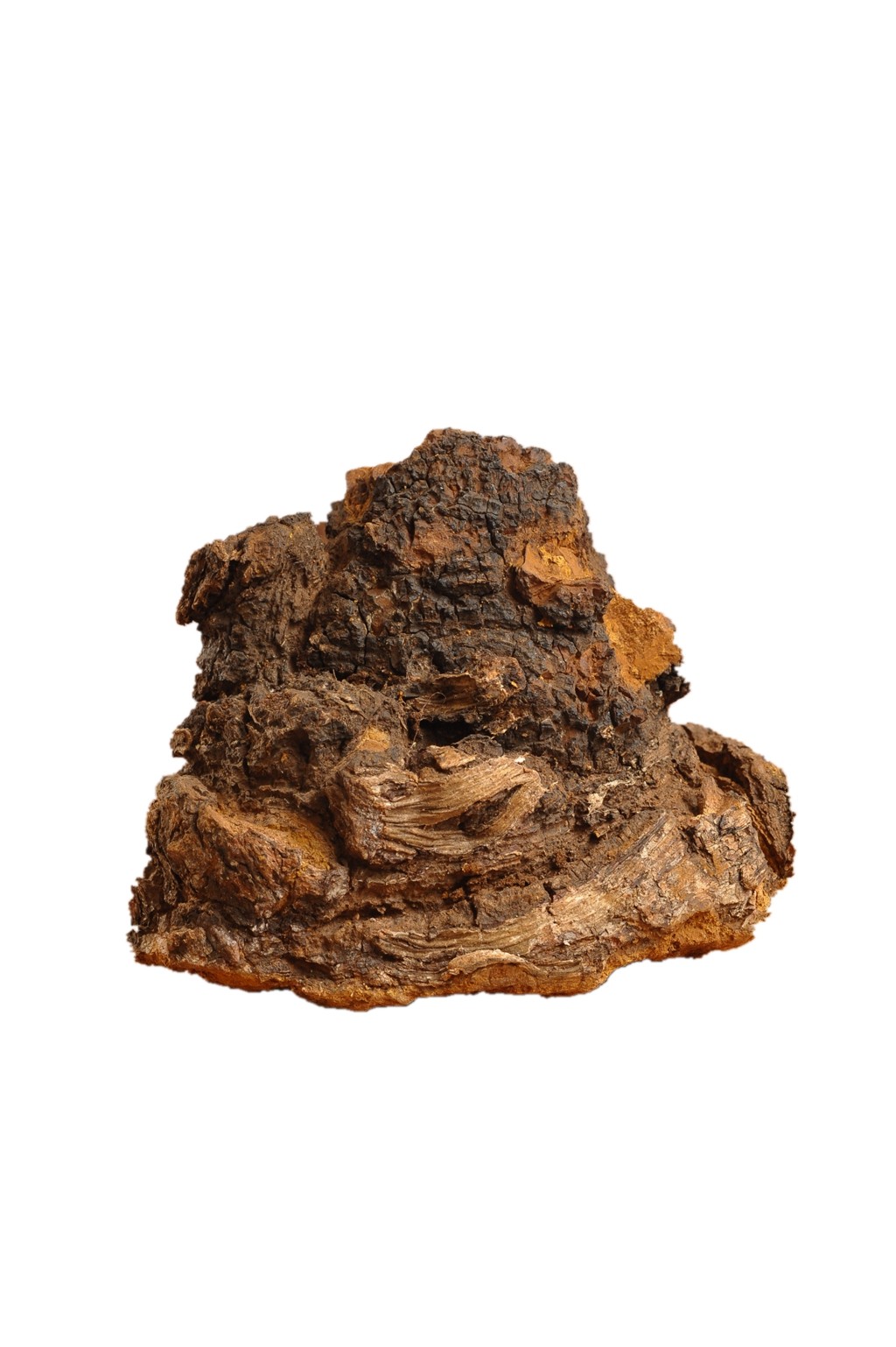 东北长白山大兴安岭天然野生桦树胆桦褐孔菌桦树茸控血糖泡茶饮品