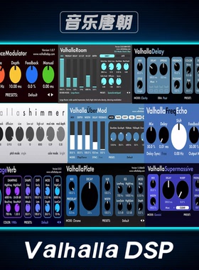 ValhallaDSP Room Vintage FutureVerb混响全套10个完整版WIN+MAC
