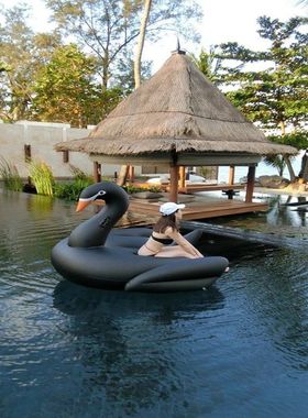 黑天鹅充气浮床气垫漂浮 游泳圈黑天鹅浮排坐骑 网红拍摄道具