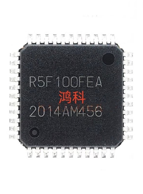 R5F100FEA单片机适用于家电游戏显示通讯仪表类可代客烧录配BOM