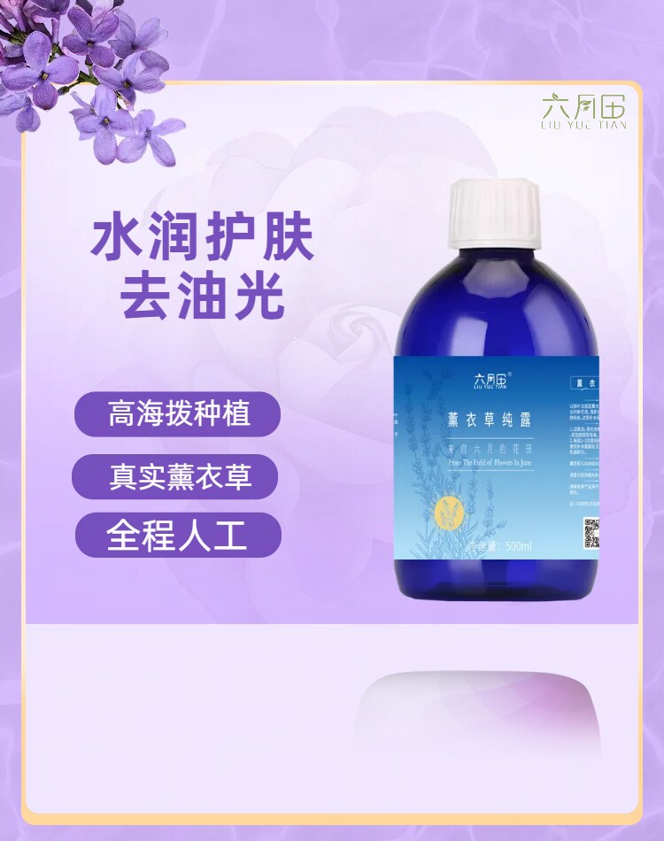 新疆伊犁浓缩饱和薰衣草纯露源头厂家控油祛痘消闭口补水源头产地