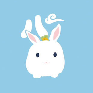 其他LOLITA品牌 定制补款专用 如用花呗/信用卡额外付手续费