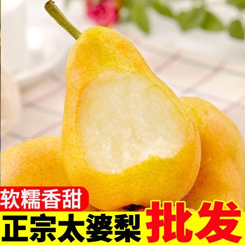 正宗山东太婆梨烟台太婆梨红啤梨烟台大头梨中华丑梨老太太梨