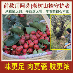 老树大金星鲜果鲜山楂野生山楂无农药鲜山楂寺头山楂泡酒农家自种