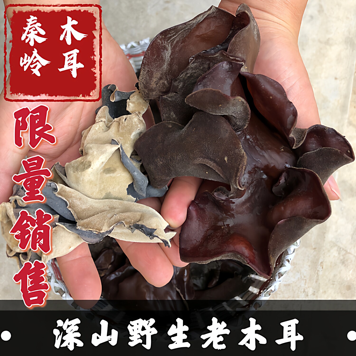 木耳干货野生特级500g黑木耳纯天然秦岭深山老木耳陕西木耳非柞水