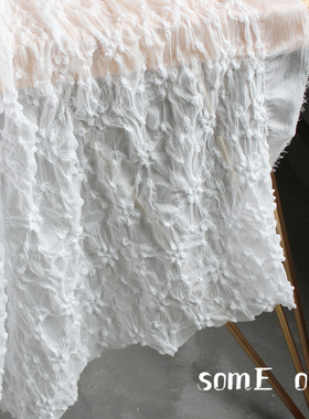 白色半透明小绣花纱魂牵梦绕软网纱细条透视蕾丝连衣裙设计师布料