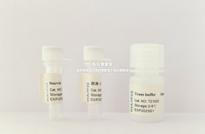 Starvio DNA&siRNA转染试剂盒 高效转染大多数贴壁细胞和悬浮细胞