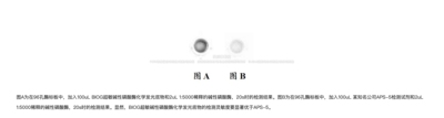 BIOG超敏碱性磷酸酶化学发光底物液,AKP活性ELISA/化学/免疫检测