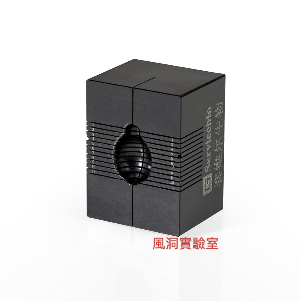 小鼠脑切片模具1mm 大小鼠脑切片模具心脏脑槽不锈钢间距0.5/1mm