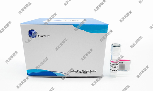 FineTest多聚HRP结合亲和纯山羊抗小鼠IgG(H+L) 信号增强系列抗体