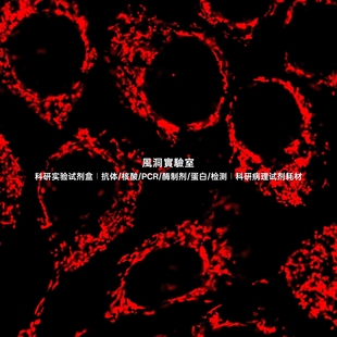 专为线粒体设计 AIE线粒体红色探针 荧光探针适合需多次成像实验