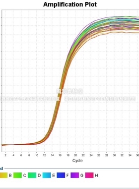umibio®2×SYBR Green qPCR试剂(预混ROX2型) 含热启动DNA聚合酶