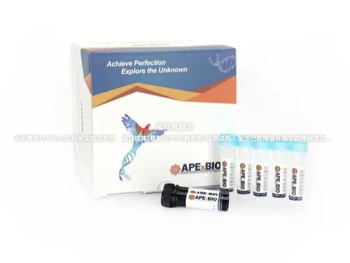 APExBIO橙色荧光EdU成像试剂盒,EdU Imaging,EdU成像试剂盒(Cy3)