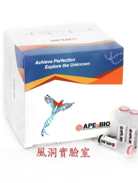 APExBIO HyperScript两步法RT-qPCR的高效逆转录反应预混液K1074