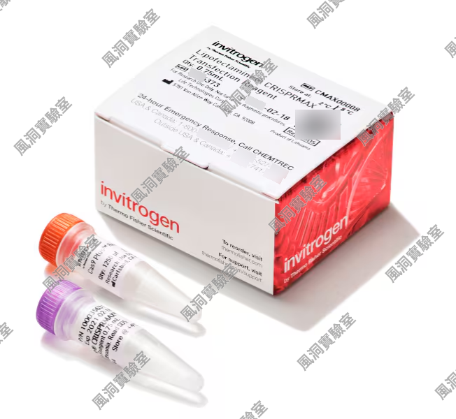 Invitrogen™赛默飞Lipofectamine™ CRISPRMAX™ Cas9 转染试剂