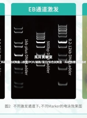 饱和核酸染料AIE-HiRed(100×in DMSO)适用qPCR/HRM分析的DNA染料