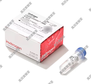 Invitrogen赛默飞Lipofectamine™2000转染试剂 转染贴壁悬浮细胞