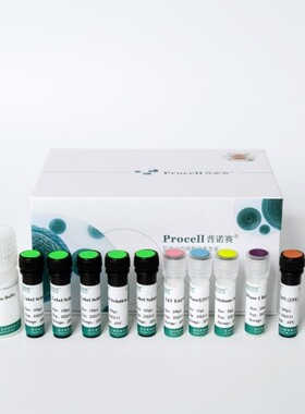 普诺赛一步法TUNEL原位细胞凋亡检测试剂盒(红色Elab Fluor®555)