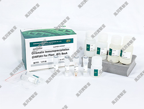 金开瑞ChIP试剂盒(植物) 染色体免疫共沉淀试剂盒 蛋白质-DNA互作