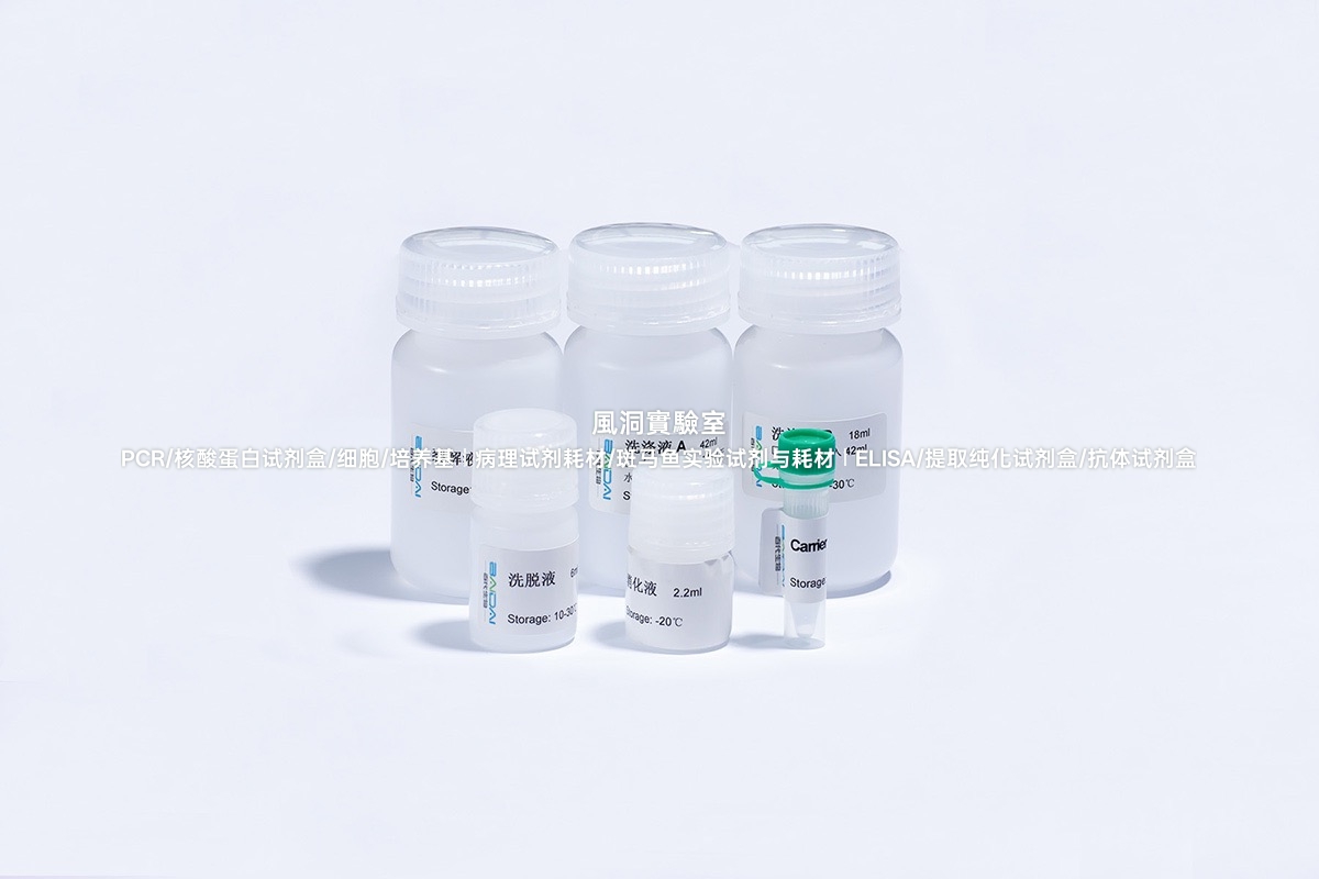 BIOG血清血浆游离DNA提取试剂盒(小提) 专用于提取游离DNA(cfDNA)