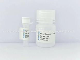 Rfect V2 siRNA转染试剂,降低细胞膜排异反应,提升siRNA转染效率