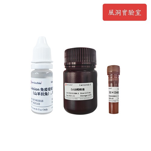 S-vision免疫组化试剂盒（抗兔二抗）灵敏度高 特异性强 无生物素